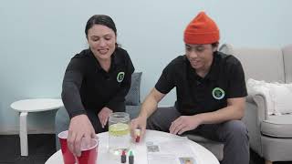 Download Lagu Little Winners  Fireworks in a Glass MP3