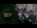 薄紫色の街