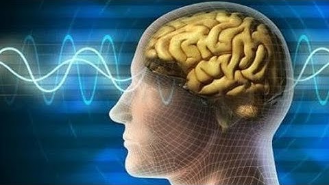 "Déjà Vu: A Glimpse into a Parallel World?"