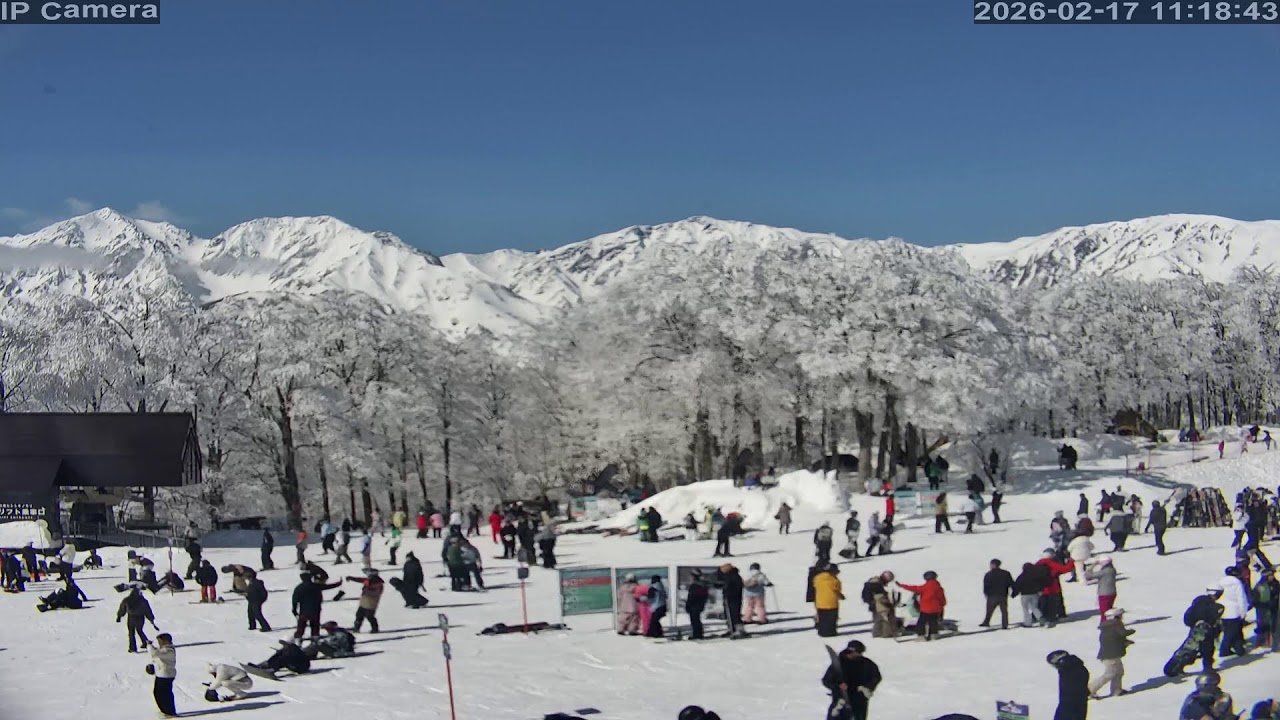 Camera 白馬岩岳マウンテンリゾート - 2026-02-17 10:37 - YouTube
