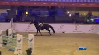 Soline Aubry Fredrijke