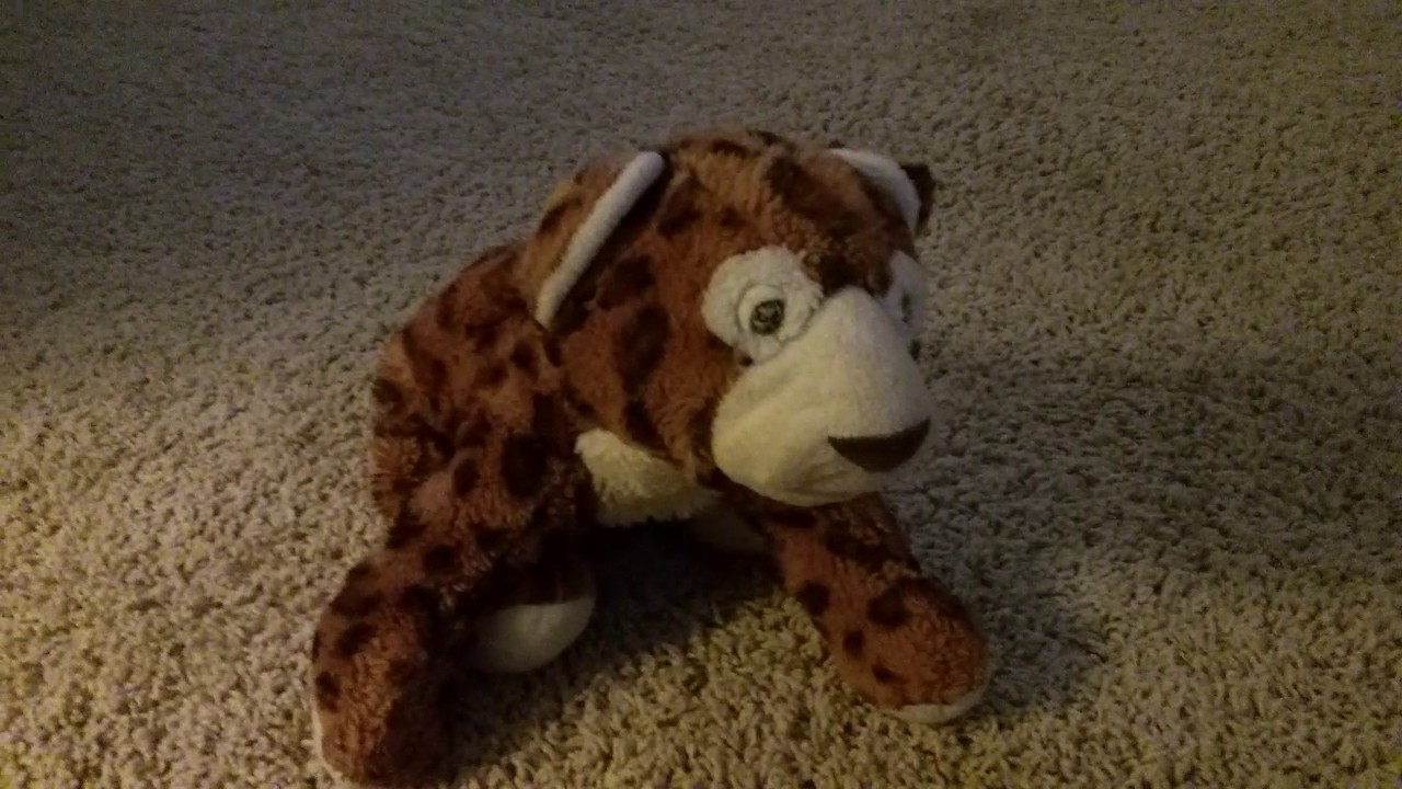 Monster Trucks and Stuffed Animals YouTube