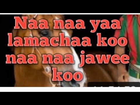 Naa Naa Yaa Lamachaa Koo 