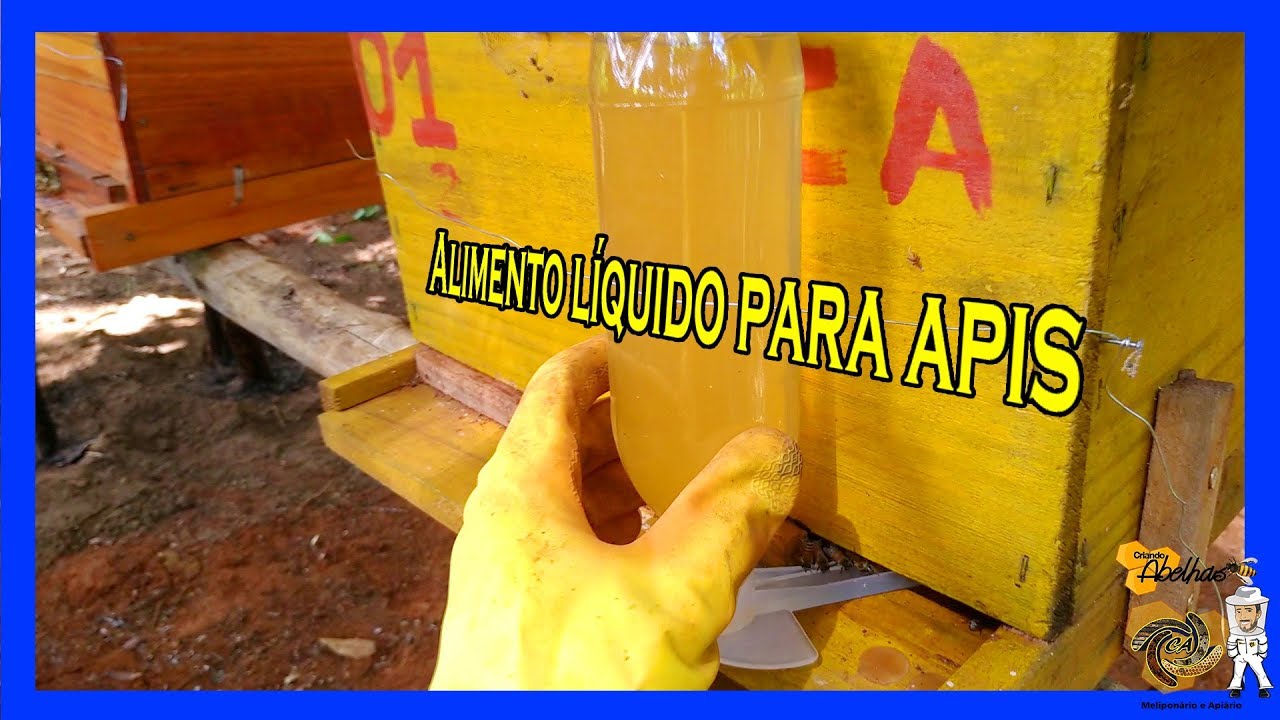 Alimentação Líquida Para Abelhas. Esta faltando florada? Bora alimentar nossas abelhas?!