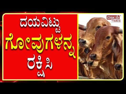 Save cattle from deadly disease. Cattles of Karnataka are suffering from foot mouth disease.