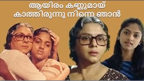 Aayiram kannumay II Nokketha Doorathu Kannum Nattu II Nadhiya Moidu / Ente Pattukal - My Music
