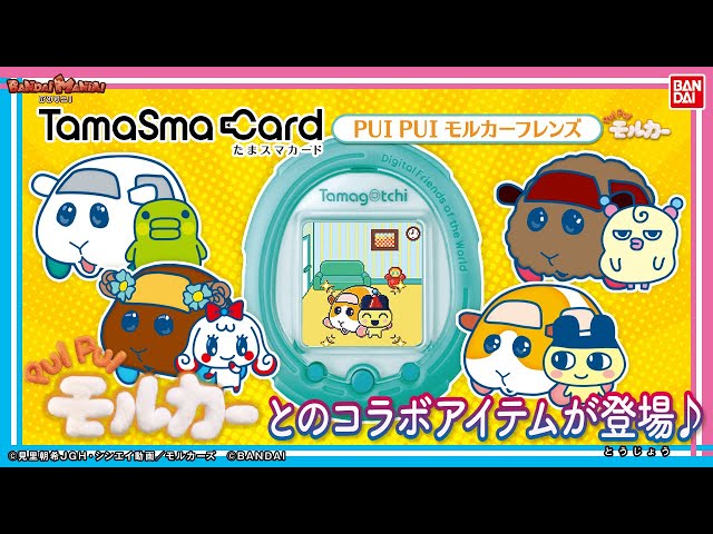 Bandai Official] PUI PUI Molcars have come to meet your Tamagotchi