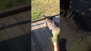 Ax .338 Lapua Magnum