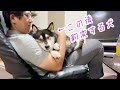 裏切りのオッサン’s!!こんなに仲良しだった柴犬を豹変させたものとは…。