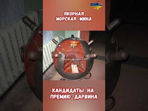 Якорная морская мина нашли в Сочи Претенденты на премию Дарвина #мины #армиярф #война #приколы #сочи