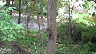 Proctor's Ledge: Finally Verified as Gallow's Hill
