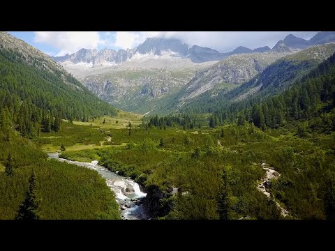 Video: Natuurpark 