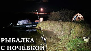 РЫБАЛКА С НОЧЁВКОЙ!!! ПРИЕХАЛИ ЗА НАЛИМОМ , А НАЛОВИЛИ... OVERNIGHT FISHING! !!