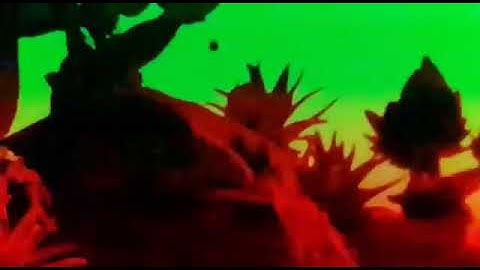 (Flashing) DLP slow motion.