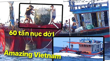 LƯỚI RÚT PHÚ YÊN ĐÁNH 60 TẤN NỤC DỜI ❤️ AMAZING VIETNAM, Exploiting 200 tons of fish