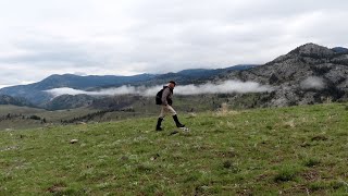 Yellowstone Treadmill Walk #3  Buffalo Plateau