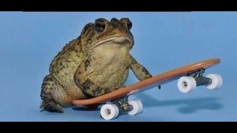 AP Physics C Rocket Lab