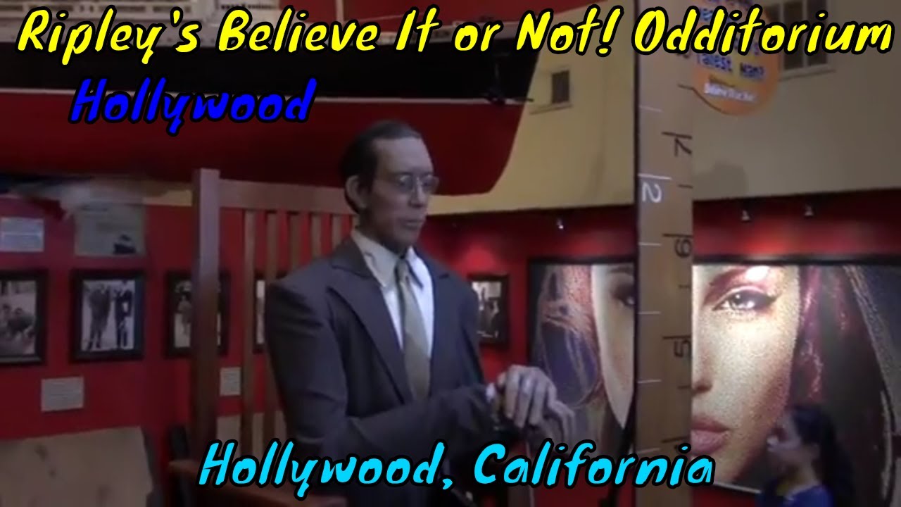 Ripley's believe it or not hollywood coupon