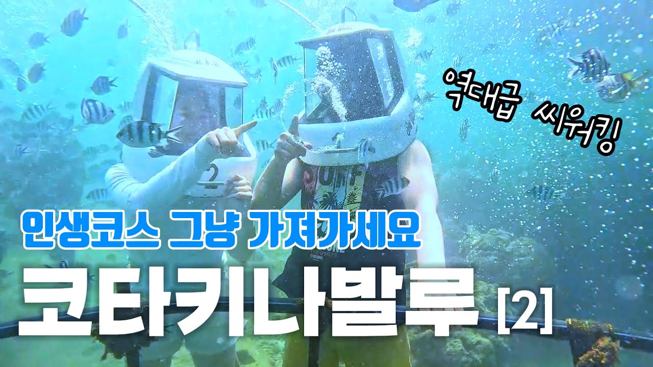 코타키나발루 4박 6일 인생코스 [2화] | 부부여행, 일정공유, 맛집, 호핑투어, 씨워킹,마무틱섬,시티투어