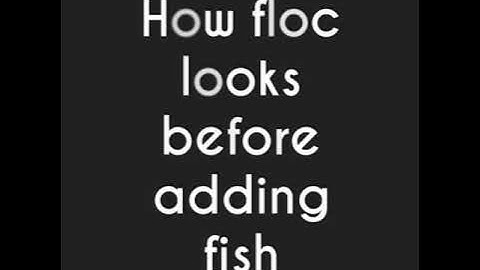 BioFloc Part-1