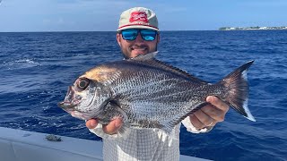 Catching Fish In A THOUSAND Feet Of Water {Catch Clean Cook}