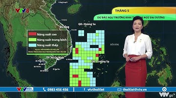 Dự báo thời tiết biển ngày 4/5/2021: Ngư trường khai thác cá ngừ đại dương tháng 5/2021 | VTVWDB