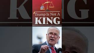 Schumer Slams Trump, Musk for Creating US Oligarchy