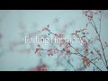Fading Harmony - Classical MasterPieces