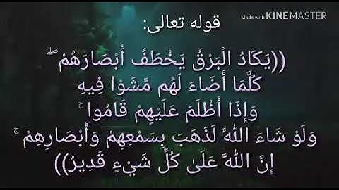 سورة البقرة اية ٢٠ جمال القرش