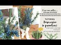 TUTORIAL ROSMARINO IN PANNOLENCI - cartamodello rosmarino e fiorellini in regalo