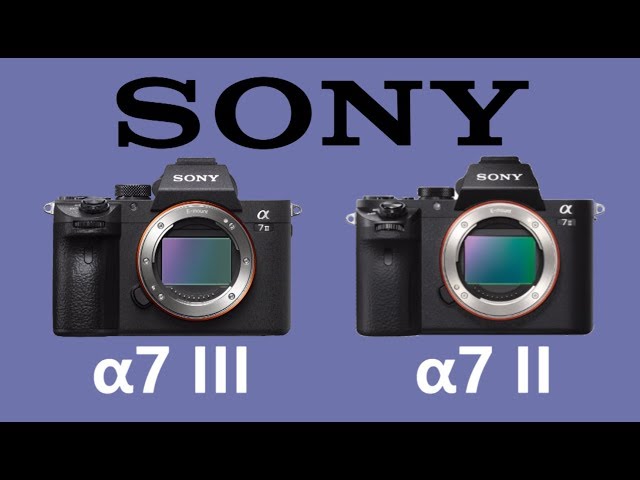 svejsning Borgmester pille Sony a7 III vs Sony a7 II - YouTube