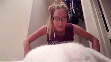 22 Pushup Challenge, Day 1