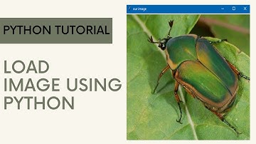 HOW TO OPEN AN IMAGE IN PYTHON | PYTHON TKINTER | LOAD IMAGE IN PYTHON |