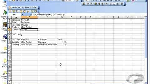OLAP Query [PowerOLAP Excel Integration #5]