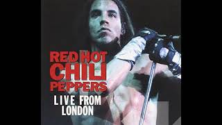 Red Hot Chili Peppers - Reading Festival 1994