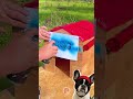 #DIY Cozy Dog Shelter from Trash and Recycled Materials ♻️
