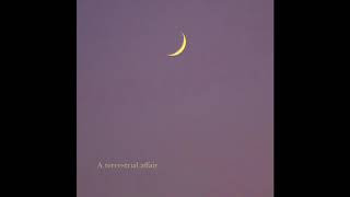 Bonggita - A Terrestrial Affair (Full EP) [Pop Synthwave]