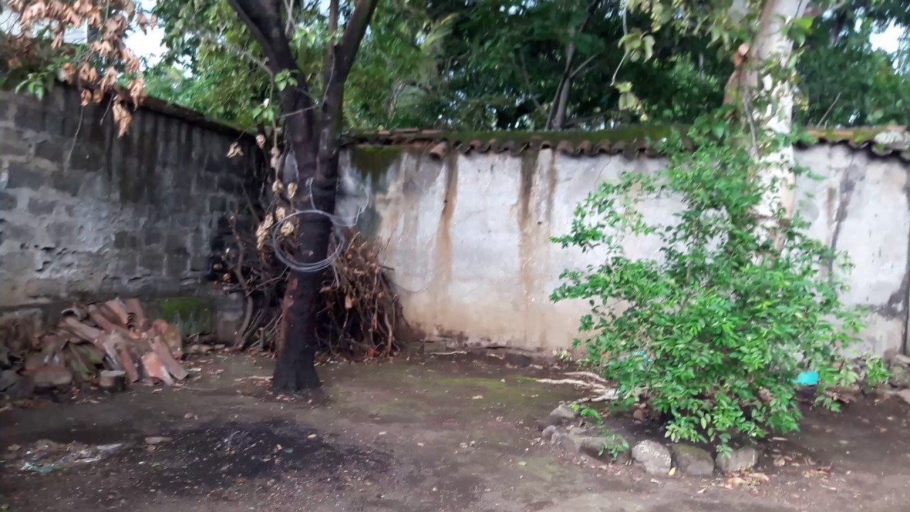 Colonial house for rent in Leon Nicaragua YouTube
