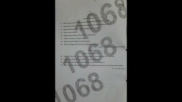 Third semester Bcom professional Business Skills Question paper