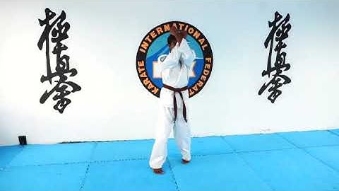 7th Kyu Syllabus. IFK Kyokushin Syllabus. Mauritius Branch