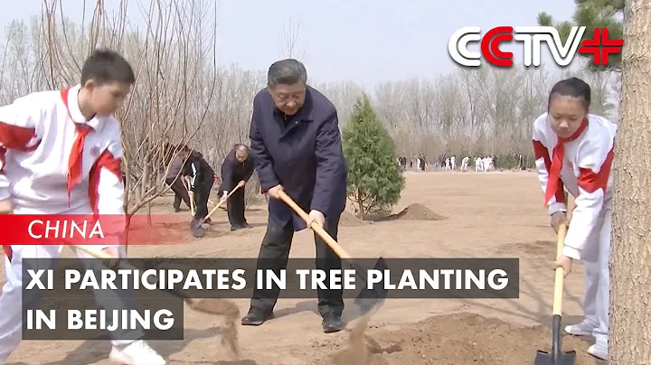 Xi Plants Trees in Beijing, Urging Nationwide Afforestation Efforts for Beautiful China - DayDayNews