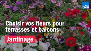 JARDINAGE : comment choisir ses fleurs pour vos terrasses et balcons