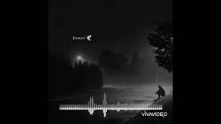 Rizvan Heyderov Qemli Seir