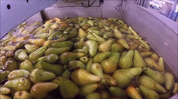 GREEFA - FruitMasters - CombiSort 6 lane sorting and packing line for pears in the Netherlands