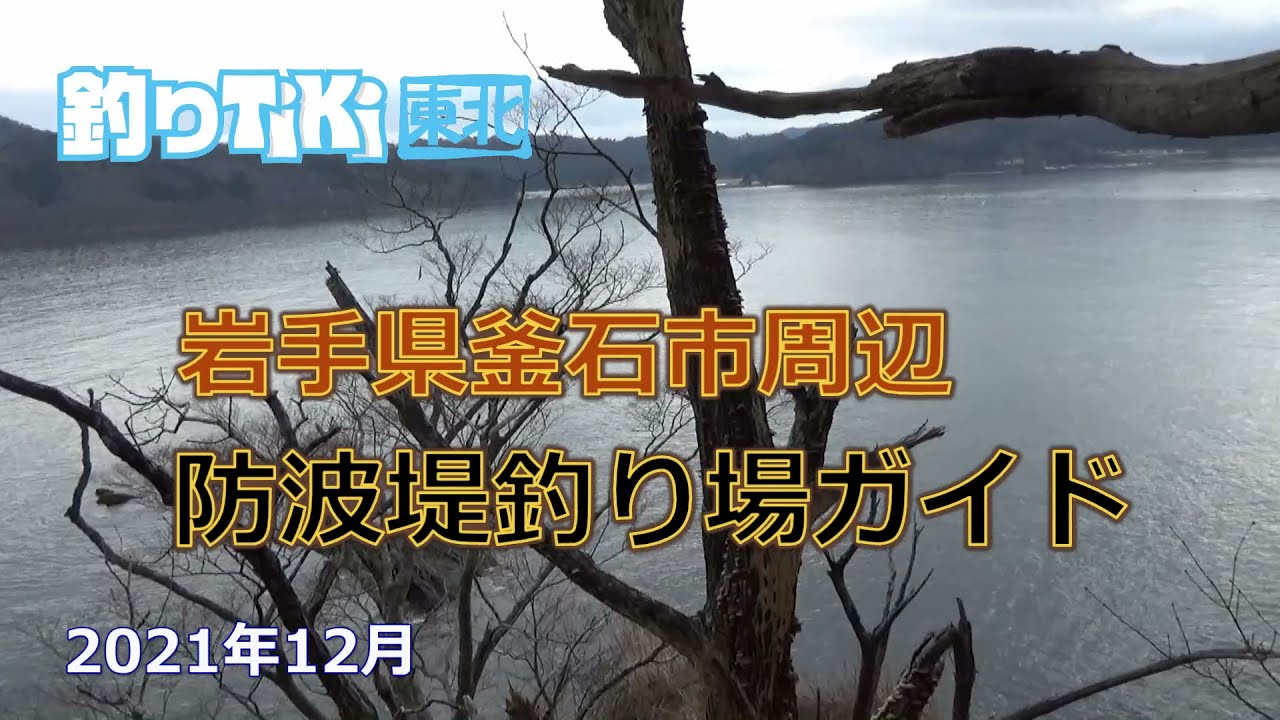 釜石市大槌湾 両石湾の漁港釣り場紹介 根浜 箱崎 桑ノ浜 21年12月 Youtube 釜石市大槌湾 両石湾の漁港釣り場紹介 根浜 箱崎 桑ノ浜 21年12月 Youtube