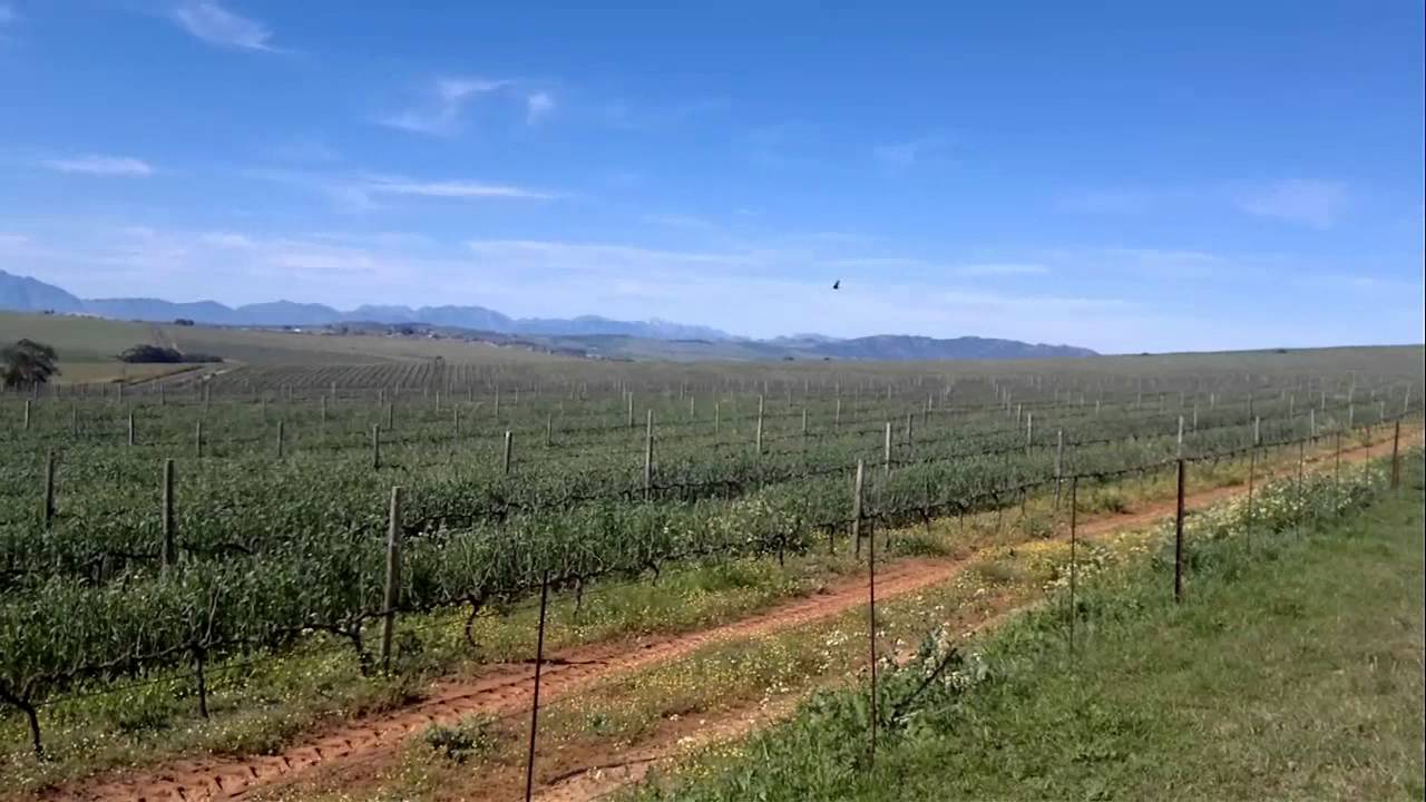 Wheat Farm For Sale South Africa - YouTube