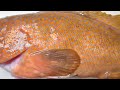 幻の高級魚○○ハタを入手したので捌く #魚#捌く#魚捌き