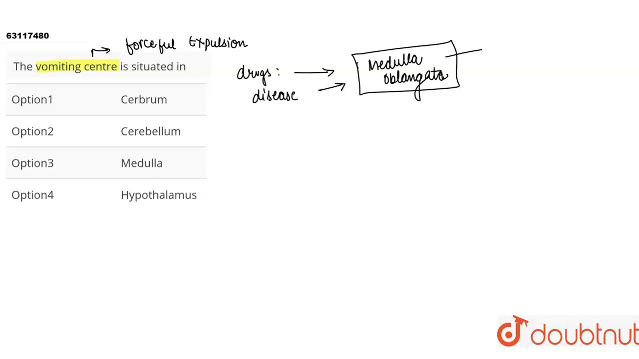 Центр рвоты находится в