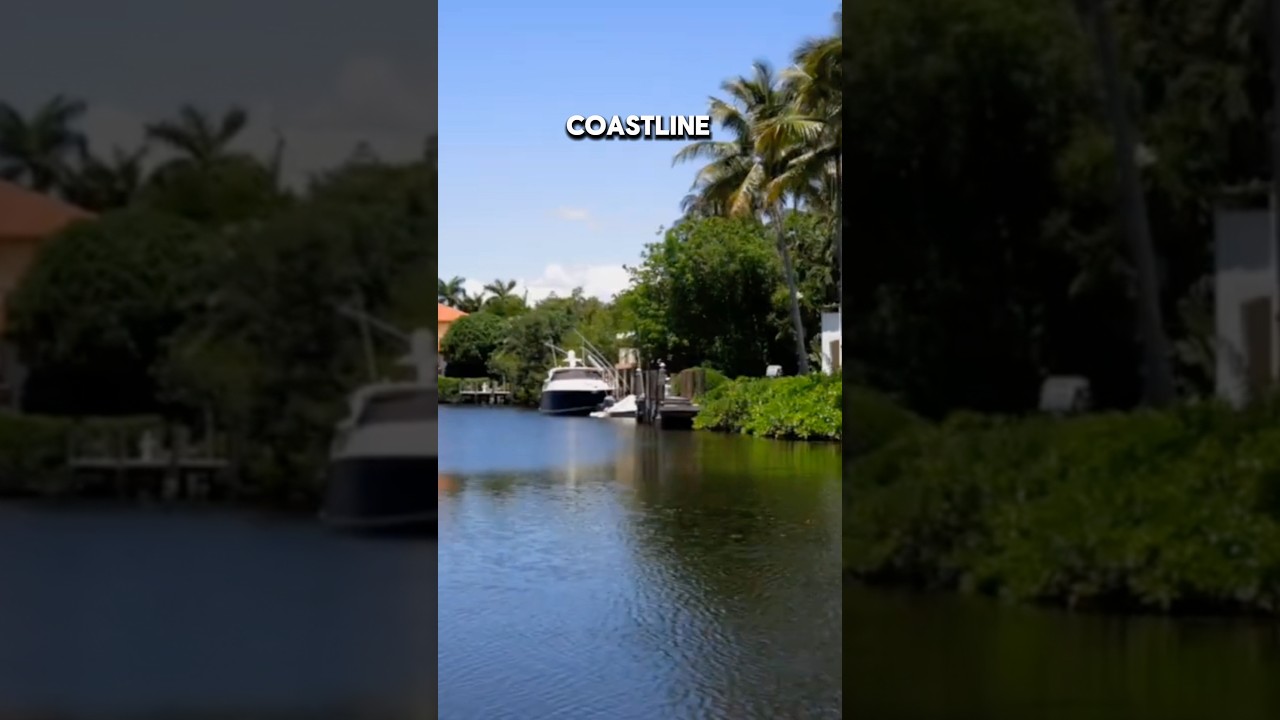 Protected Mangroves & Waterfront Homes Explained. # mi #miamiluxuryrealestate