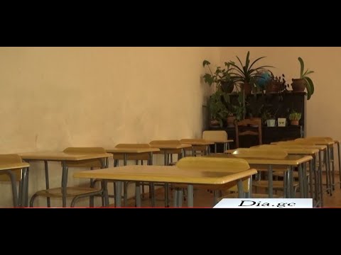 15 სექტემბრიდან 4 ოქტომბრამდე სწავლა დისტანციურ რეჟიმში განახლდება 31.08.2021